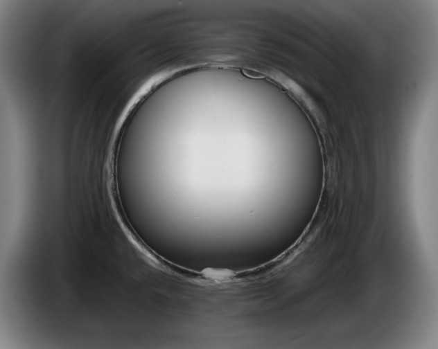 X0000085791432200703301441