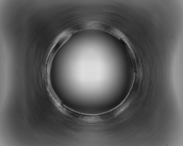 X0000085791434200703301441