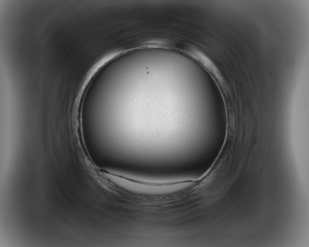 X0000085791435200703301441