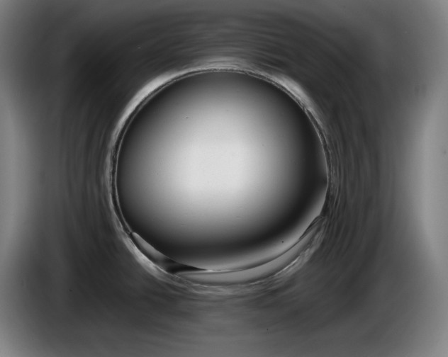 X0000085791438200703301441