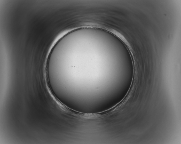 X0000085791440200703301441