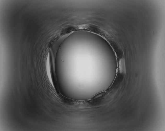 X0000085791443200703301441