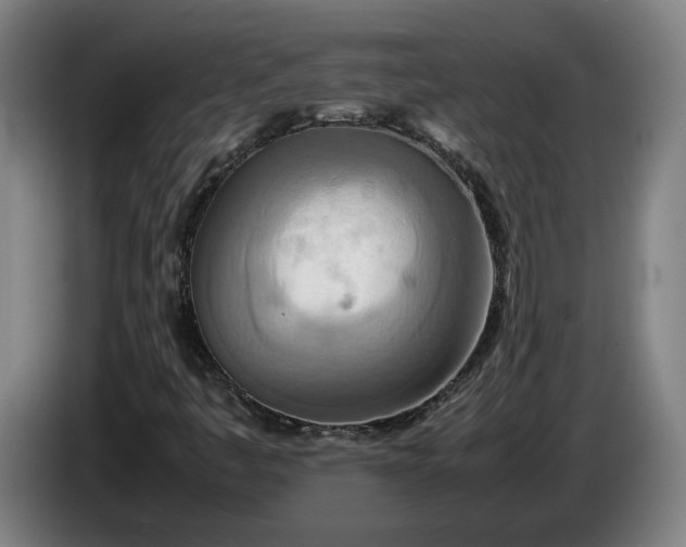 X0000085791445200703301441