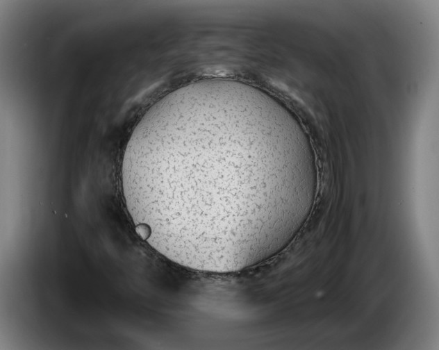 X0000085791446200703301441