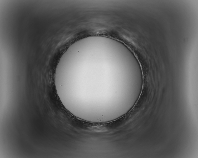 X0000085791447200703301441
