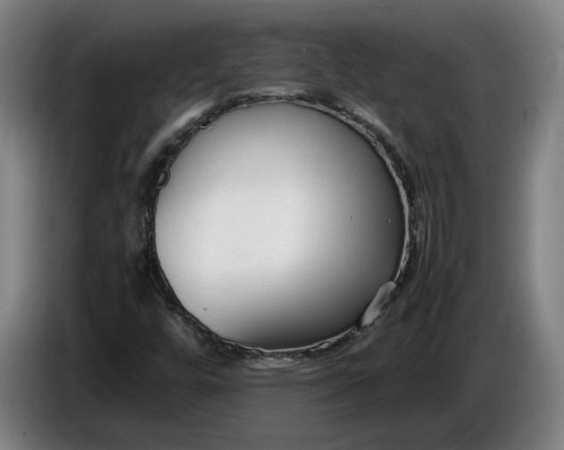 X0000085791448200703301441