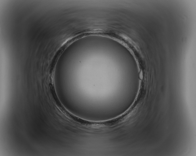 X0000085791449200703301441