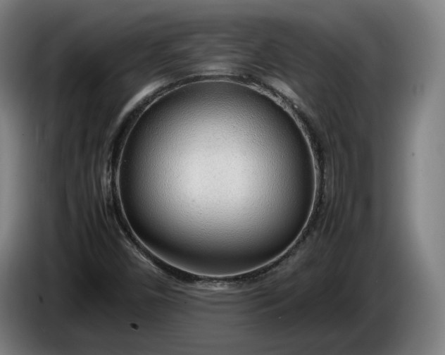X0000085791450200703301441