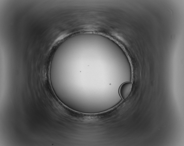 X0000085791451200703301441