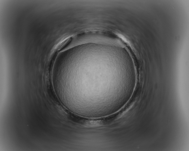 X0000085791453200703301440