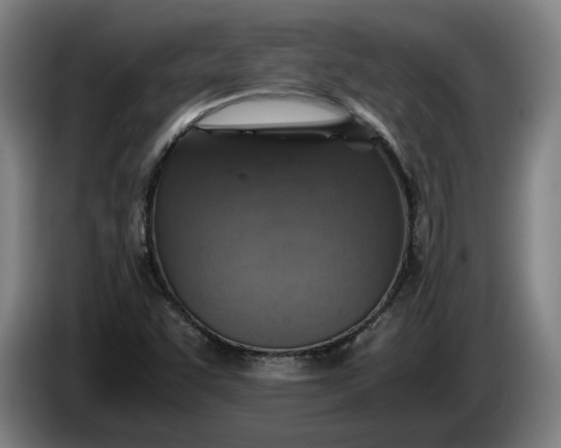 X0000085791455200703301440