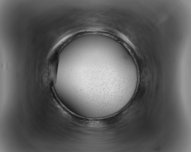 X0000085791456200703301440