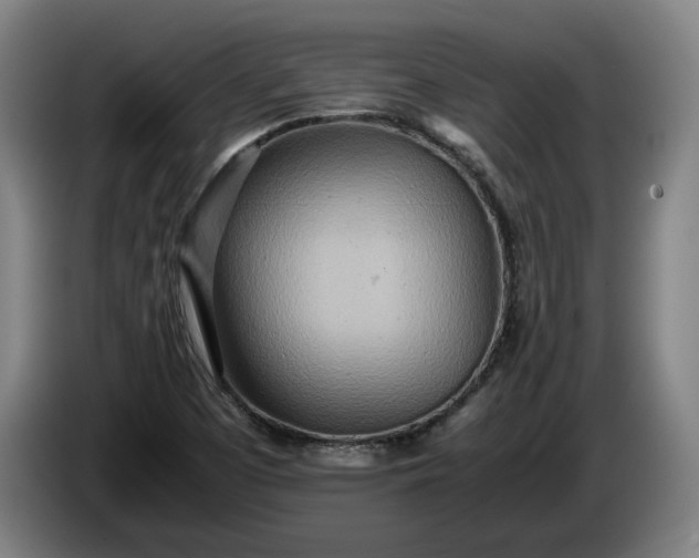 X0000085791457200703301440