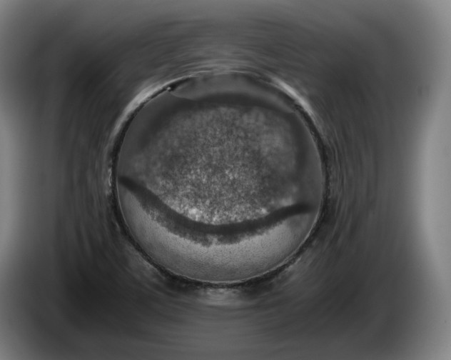 X0000085791459200703301440