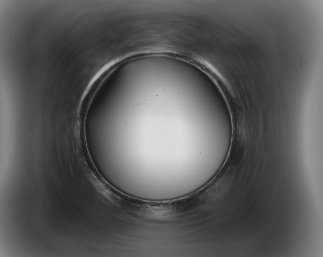 X0000085791460200703301440