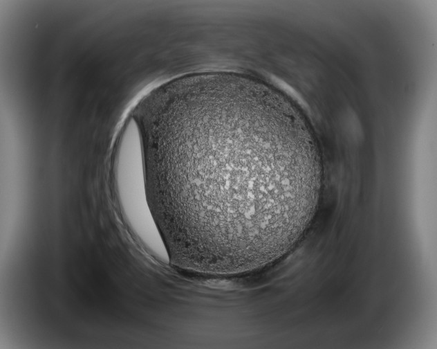 X0000085791463200703301440