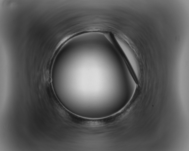 X0000085791465200703301440