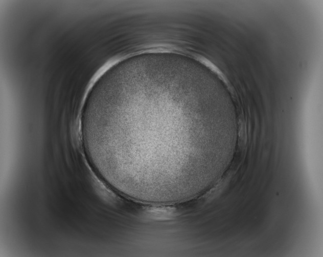 X0000085791466200703301440