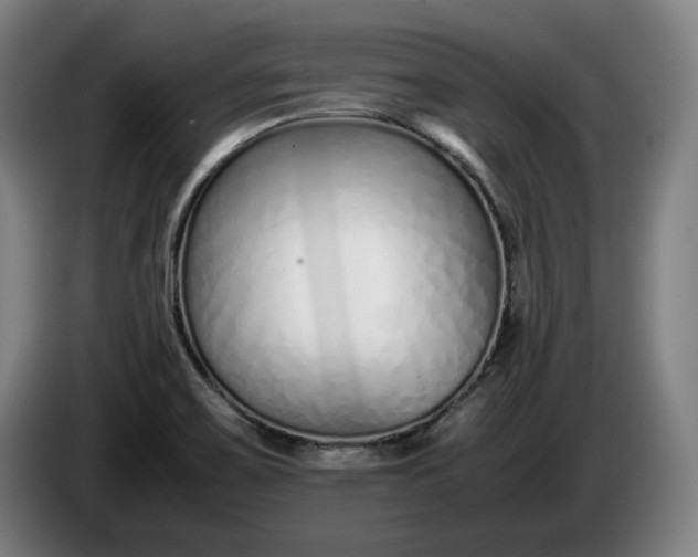 X0000085791467200703301440