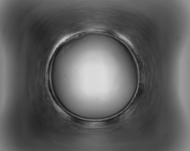 X0000085791471200703301440