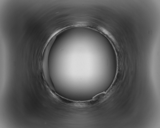 X0000085791473200703301440