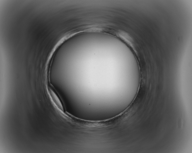 X0000085791475200703301440