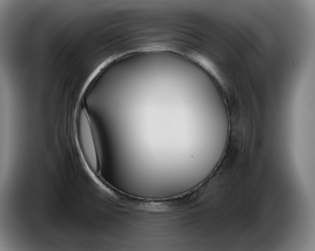 X0000085791476200703301440