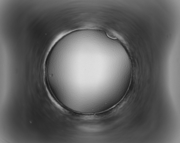 X0000085791479200703301440