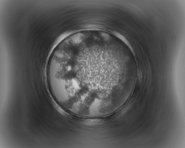 X0000085791482200703301440