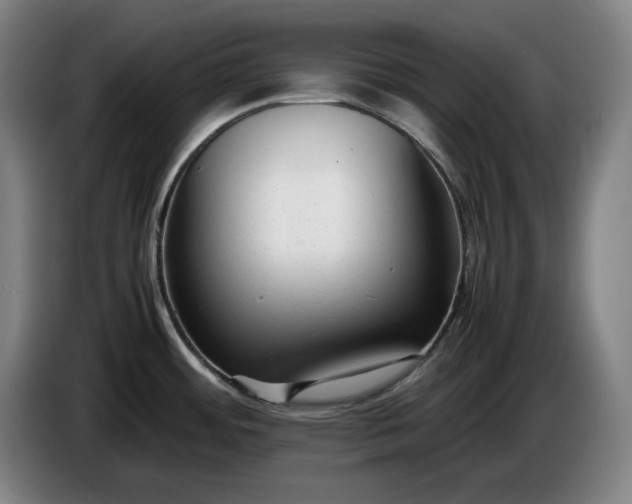 X0000085791484200703301440