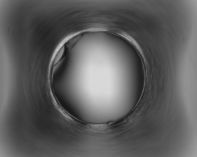 X0000085791488200703301440