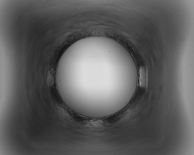 X0000085791491200703301439