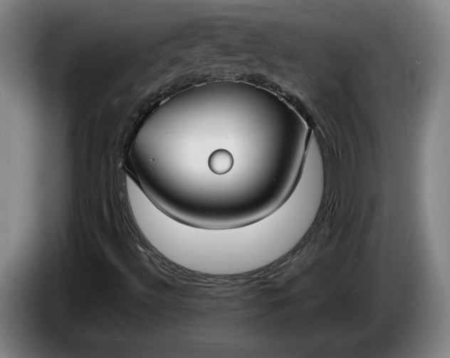 X0000085791492200703301439