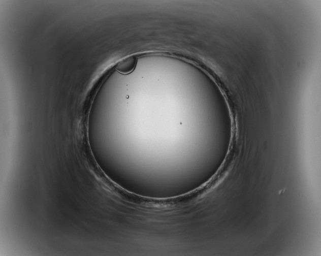 X0000085791501200703301439