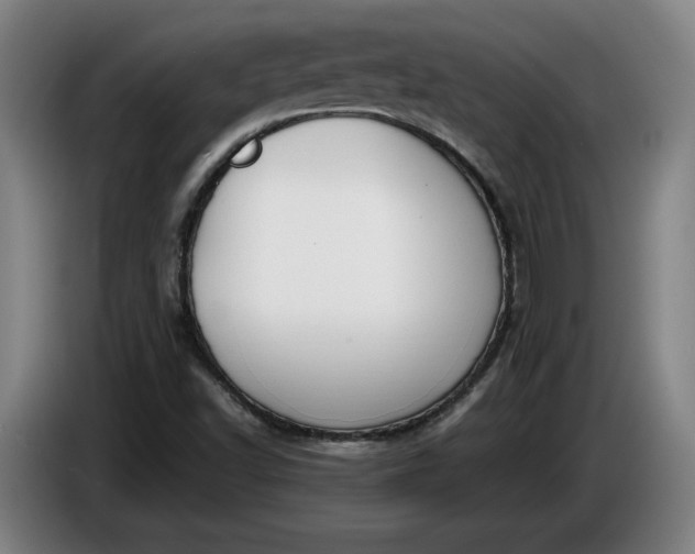X0000085791502200703301439