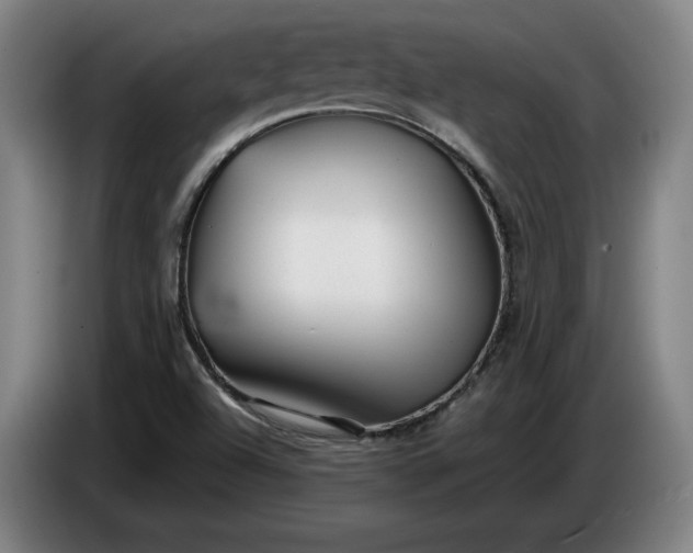 X0000085791504200703301439