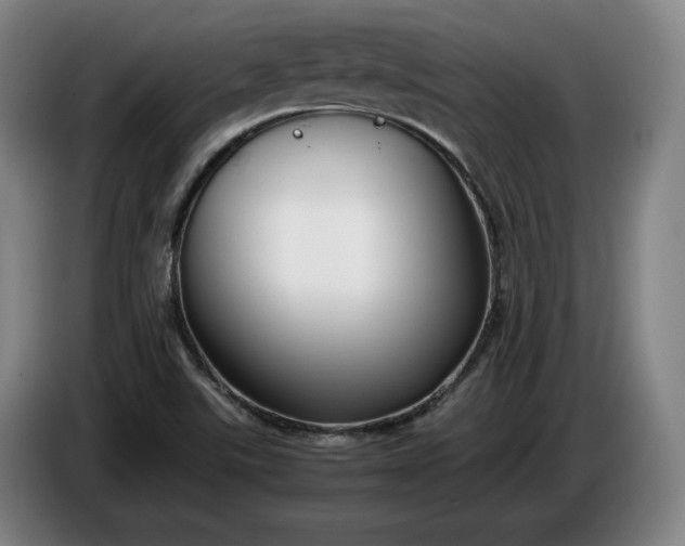 X0000085791507200703301439