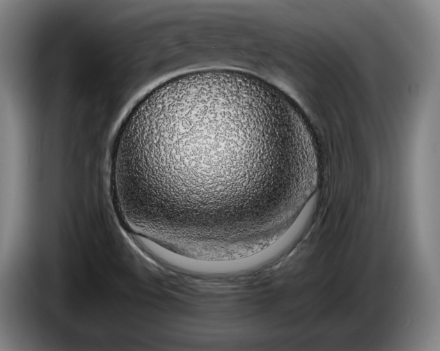 X0000085791508200703301440