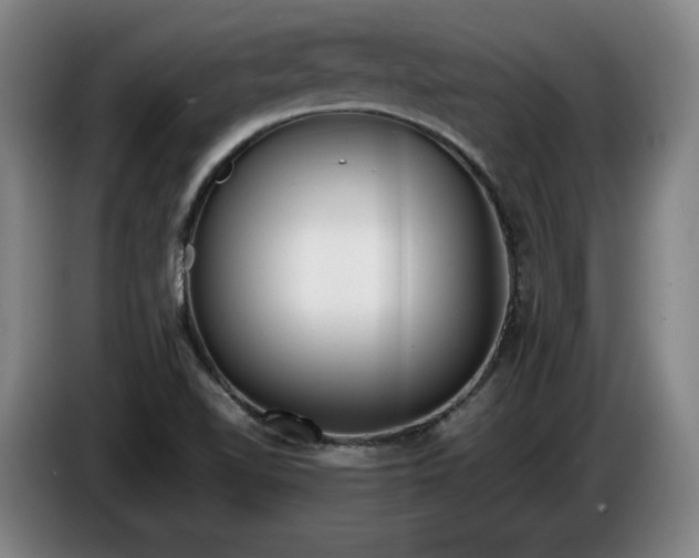 X0000085791510200703301440
