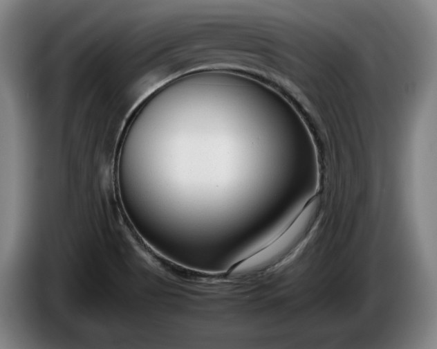 X0000085791513200703301440
