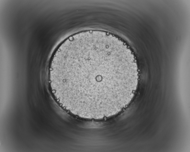 X0000085791514200703301440