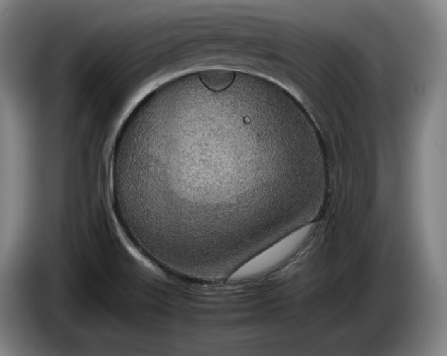 X0000085791515200703301440