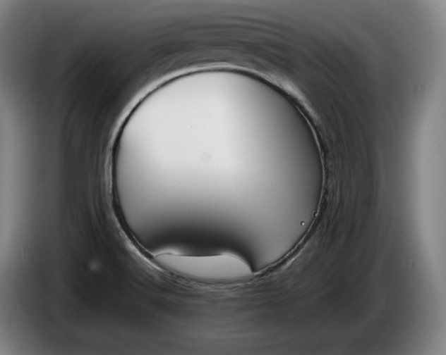 X0000085791516200703301440