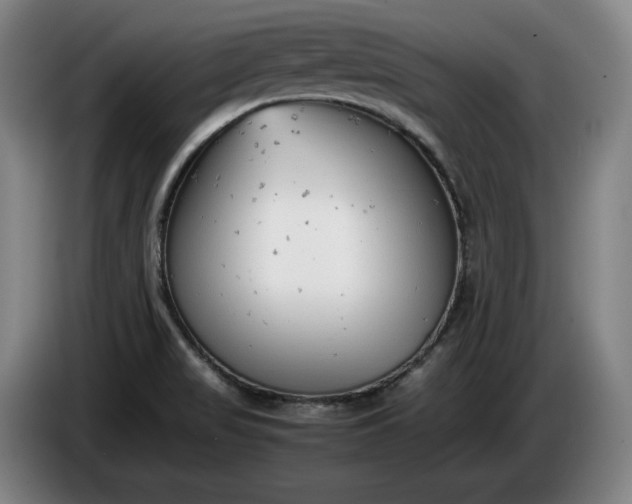 X0000085791517200703301440