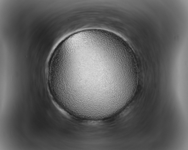 X0000085791519200703301440