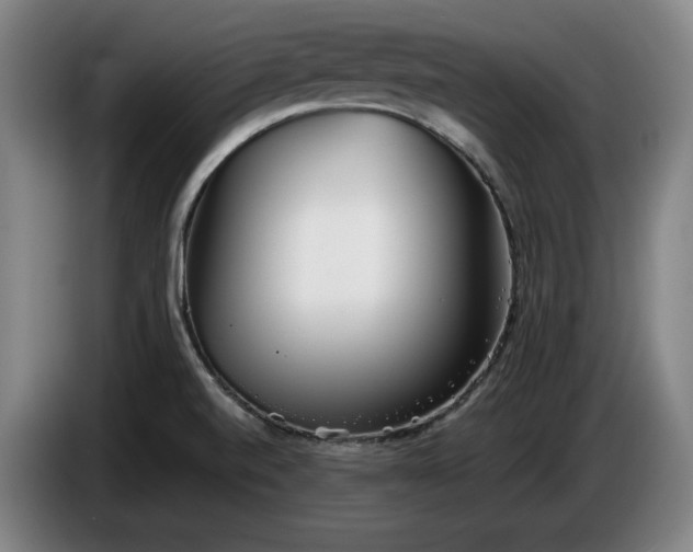 X0000085791520200703301440