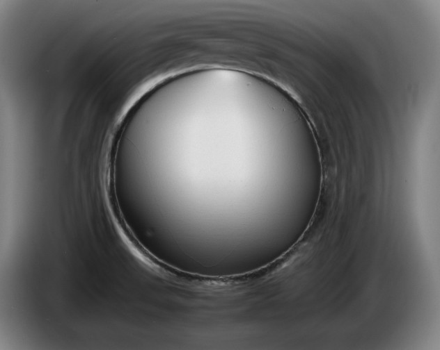 X0000085791523200703301440