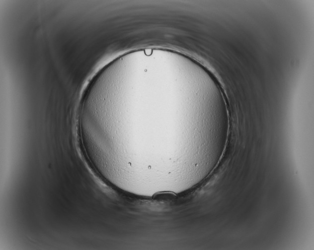 X0000085791525200703301440