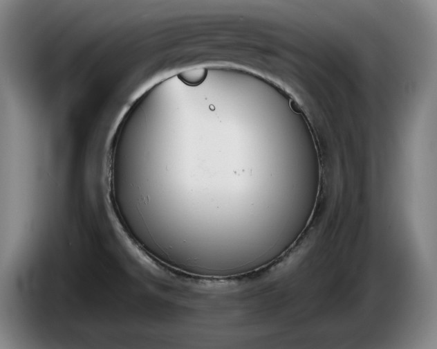X0000085791526200703301440