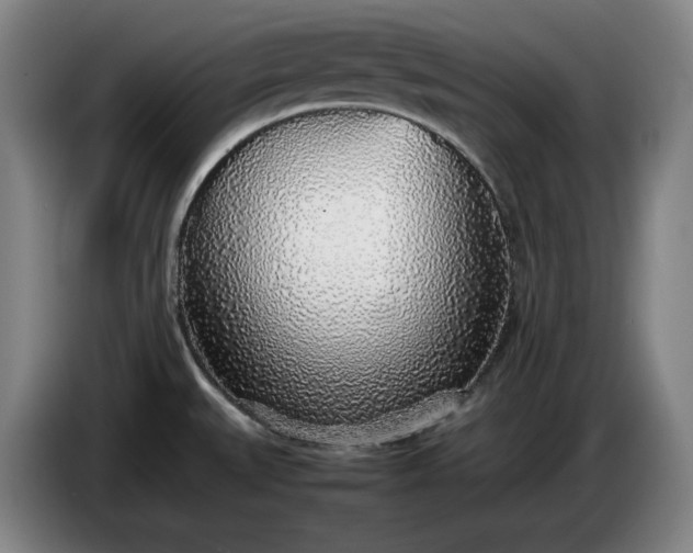 X0000085791527200703301440